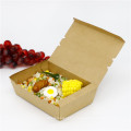 Bio-degradable Food container take away food packing box 2 cells
